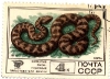 Набор марок. Змеи и охраняемые млекопитающие СССР