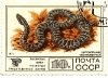 Набор марок. Змеи и охраняемые млекопитающие СССР